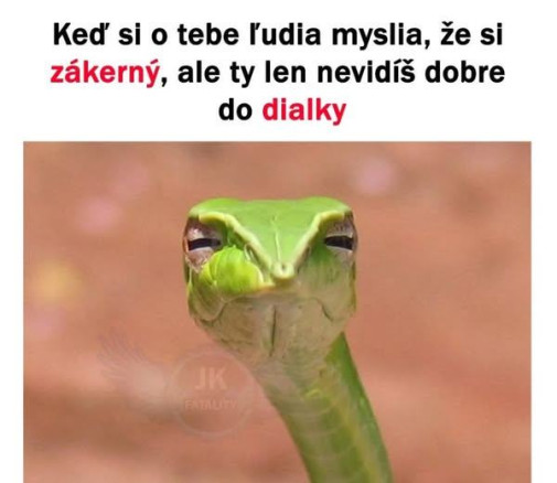 cely ja